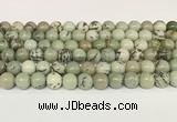 CPJ702 15.5 inches 8mm round greeting pine jasper beads