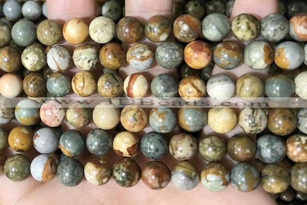 CPJ709 15.5 inches 10mm round rocky butte picture jasper beads