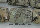 CPT131 15.5 inches 20*30mm faceted rectangle grey picture jasper beads