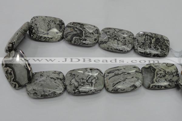 CPT133 15.5 inches 30*40mm faceted rectangle grey picture jasper beads