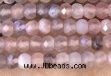 CRB2220 15.5 inches 2*3mm faceted rondelle moonstone beads