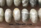 CRB5336 15.5 inches 5*8mm rondelle fossil coral beads wholesale