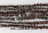 CRG30 15.5 inches 6mm flat star poppy jasper beads wholesale