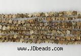 CRG33 15.5 inches 6mm flat star picture jasper beads wholesale