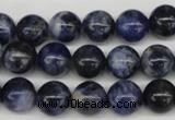 CRO239 15.5 inches 10mm round sodalite gemstone beads wholesale