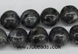 CRO399 15.5 inches 14mm round black labradorite beads wholesale