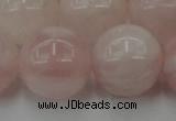 CRQ676 15.5 inches 16mm round rose quartz beads wholesale