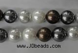 CSB1054 15.5 inches 10mm round mixed color shell pearl beads