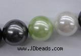 CSB1152 15.5 inches 16mm round mixed color shell pearl beads