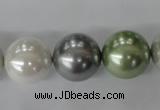 CSB1153 15.5 inches 16mm round mixed color shell pearl beads