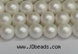 CSB1601 15.5 inches 6mm round matte shell pearl beads wholesale