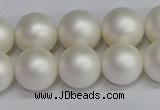 CSB1603 15.5 inches 10mm round matte shell pearl beads wholesale