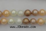 CSB311 15.5 inches 8mm round mixed color shell pearl beads