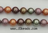 CSB312 15.5 inches 8mm round mixed color shell pearl beads