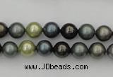 CSB316 15.5 inches 8mm round mixed color shell pearl beads