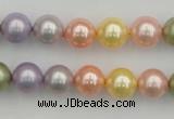 CSB330 15.5 inches 10mm round mixed color shell pearl beads