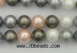 CSB338 15.5 inches 10mm round mixed color shell pearl beads