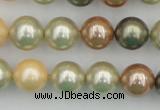 CSB359 15.5 inches 12mm round mixed color shell pearl beads