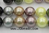 CSB364 15.5 inches 12mm round mixed color shell pearl beads