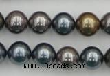 CSB366 15.5 inches 12mm round mixed color shell pearl beads