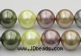 CSB381 15.5 inches 14mm round mixed color shell pearl beads