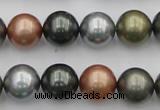 CSB382 15.5 inches 14mm round mixed color shell pearl beads