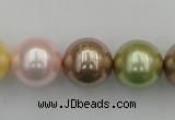 CSB393 15.5 inches 16mm round mixed color shell pearl beads