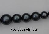 CSB405 15.5 inches 8mm - 16mm round shell pearl beads