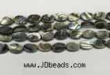 CSB4127 15.5 inches 10*14mm oval abalone shell beads wholesale