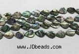 CSB4137 15.5 inches 12*16mm flat teardrop abalone shell beads