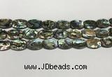 CSB4161 15.5 inches 12*16mm flat drum abalone shell beads wholesale