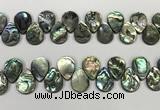 CSB4184 Top drilled 15*20mm flat teardrop balone shell beads