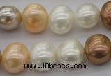 CSB695 15.5 inches 13*15mm oval mixed color shell pearl beads