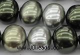 CSB718 15.5 inches 16*19mm oval mixed color shell pearl beads