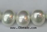 CSB825 15.5 inches 16*19mm oval shell pearl beads wholesale