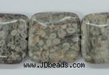 CSF07 15.5 inches 25*25mm square shell fossil jasper beads