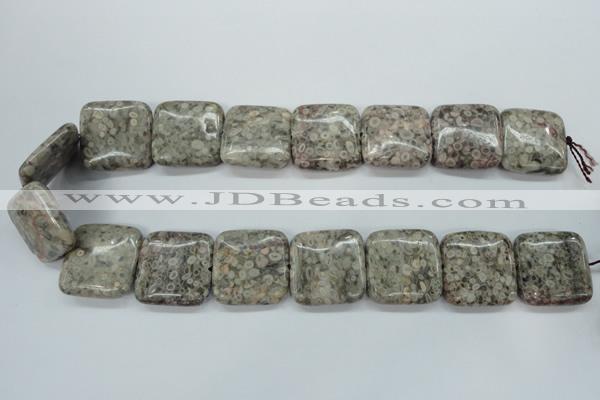 CSF07 15.5 inches 25*25mm square shell fossil jasper beads