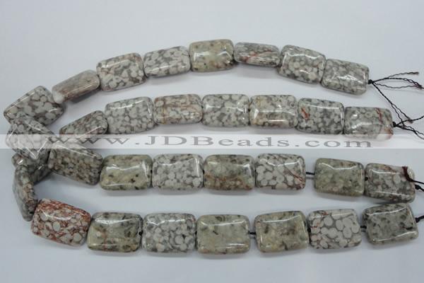 CSF09 15.5 inches 18*25mm rectangle shell fossil jasper beads