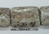 CSF10 15.5 inches 22*30mm rectangle shell fossil jasper beads