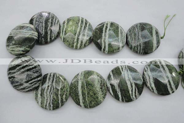 CSJ125 15.5 inches 40mm faceted coin green silver line jasper beads