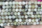 CSJ301 15.5 inches 6mm round serpentine new jade beads wholesale