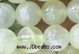 CSJ312 15.5 inches 7mm round serpentine new jade beads