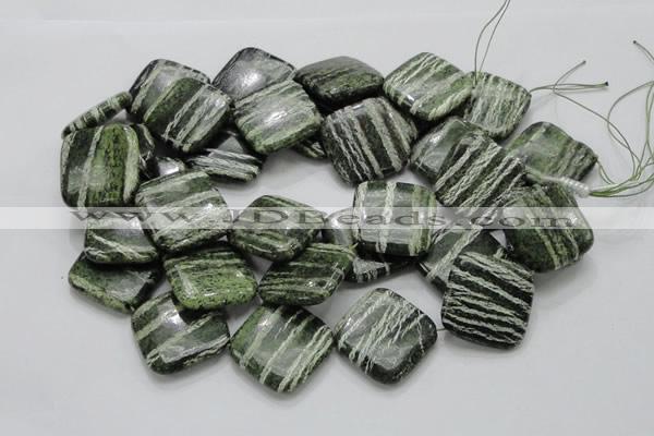 CSJ33 15.5 inches 30*30mm diamond green silver line jasper beads