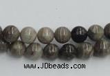 CSL01 15.5 inches 8mm round silver leaf jasper beads wholesale