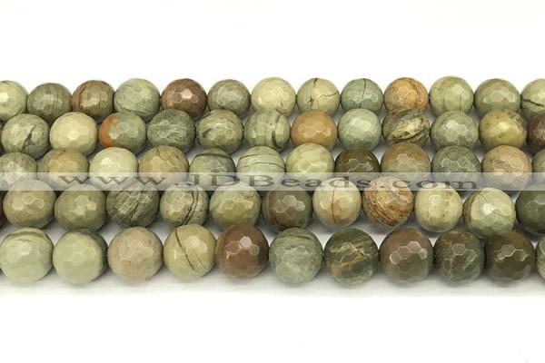 CSL173 15 inches 10mm faceted round silver leaf jasper gemstone beads