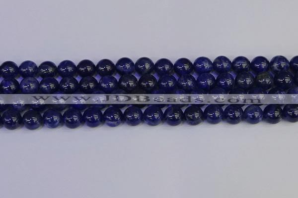 CSO504 15.5 inches 12mm round sodalite gemstone beads wholesale