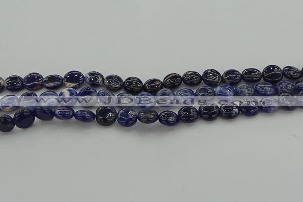 CSO670 15.5 inches 10mm flat round sodalite gemstone beads