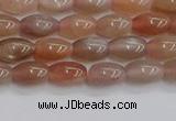 CSS265 15.5 inches 5*8mm rice sunstone beads wholesale