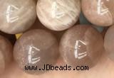 CSS694 15.5 inches 12mm round sunstone beads wholesale