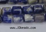 CTB715 15.5 inches 6*8mm tube white lace sodalite beads wholesale